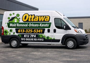 Ottawa Mold Removal-Orleans-Kanata