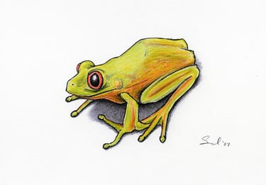 Frog Tattoo: Colored Pencil on Paper, 2007