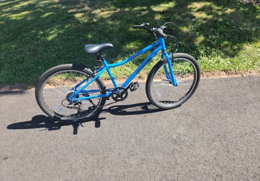 blue kid's bike