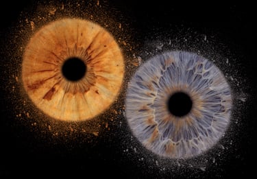 cadeau couple bordeaux iris 