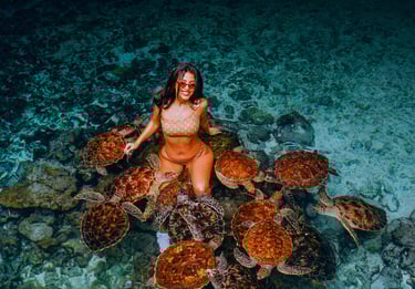 tourist enjoying an interactive tour with sea turtles at the Zanzibar Sea Turtle Aquarium, exploring marine life