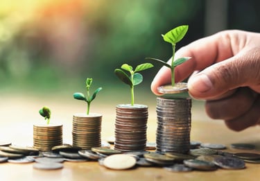 Mutual Fund