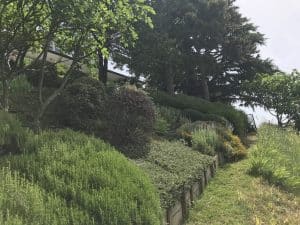 Jardins en harmonie avec la nature