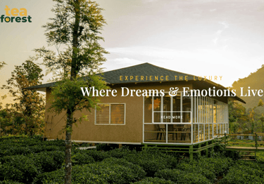 Tea Forest Resort, Ayanikal, Periya, Mananthavady