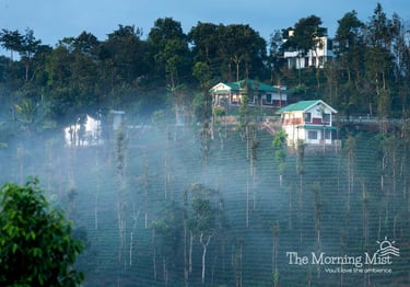 The Morning Mist Resort, Thalapuzha, Manathavady