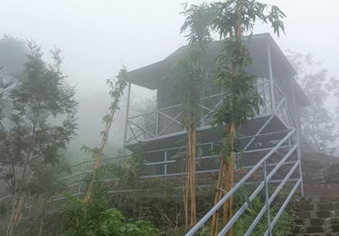 Humming Rills, Boys Town, Manathavady