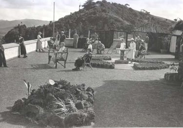 Titirangi Hotel rooftop garden.