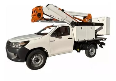 Pick up con cesta elevadora