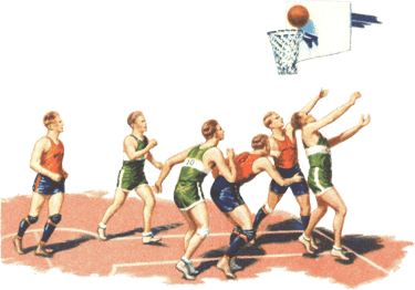 Curated Vintage Basketball Card Collection