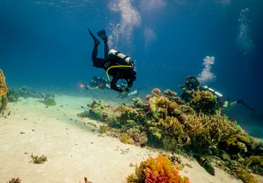 calm divers exploring a reef in the red sea