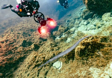technical divers exploring underwater vallies in Malta