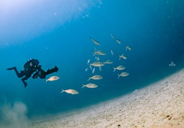 diver using a DPV or underwater scooter