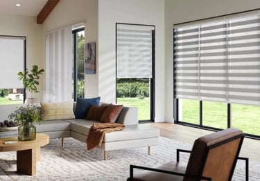living room with zebra shades and natural light – Rise Up Window Coverings Milwaukee