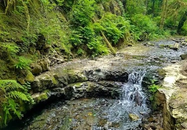 Portland, OR - Creek along the hiking trail to the Witch's Castle