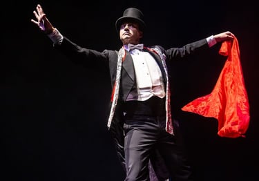 artis for hire , magician, face painter, bubble show, jugglers