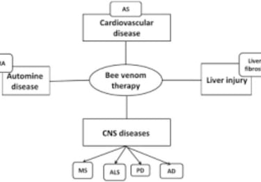 Bee Therapy the Benefits and Uses of Bee Venom (1)