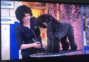 Peluquería Canina Truka en el programa de televisión +Cotas de Television Española