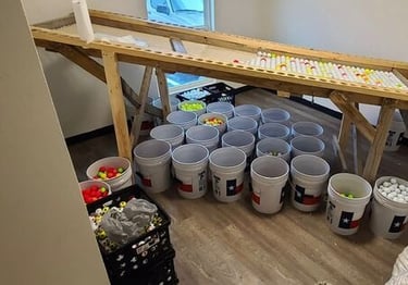 Used golf balls organized in white buckets and sorted on a wooden processing table for resale.