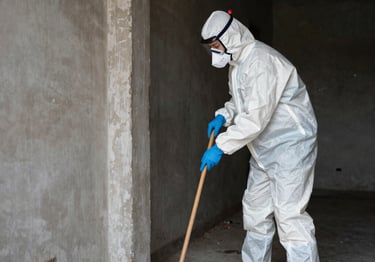 Hazardous Waste Clean Up