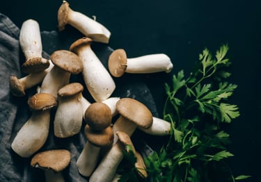 funghi ostrica reale in vendita