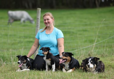 Border Collie breeder | Herding instructor | Dog training | Herding judge