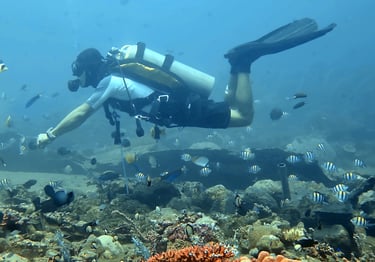 Good Buoyancy Diver 