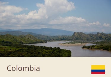 Green Coffee Beans From Colombia - Quality Beans imported to New Zealand