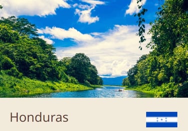 Green Coffee Beans From Honduras - Quality Beans imported to New Zealand