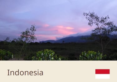 Green Coffee Beans From Indonesia - Quality Beans imported to New Zealand