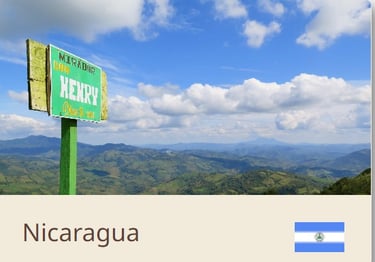 Green Coffee Beans From Nicaragua - Quality Beans imported to New Zealand