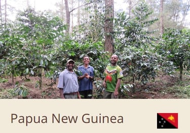 Green Coffee Beans From Pupua New Guinea - Quality Beans imported to New Zealand