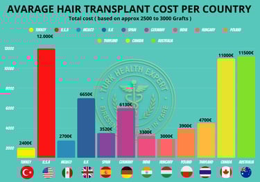 hair transplant turkey cost