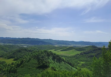 a view of a mountain range with a bench and a bench