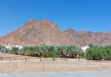 ziyarah in Mecca and Madina