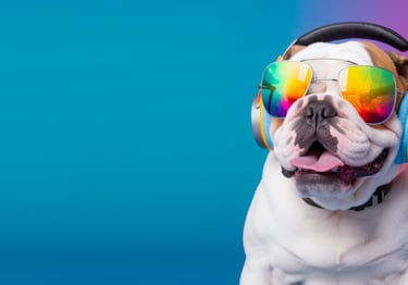 a dog wearing headphones and sunglasses with a rainbow colored background