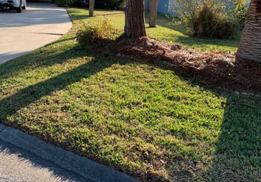 Clean cut yard and edges 