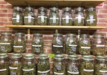 Cannabis Club Malta