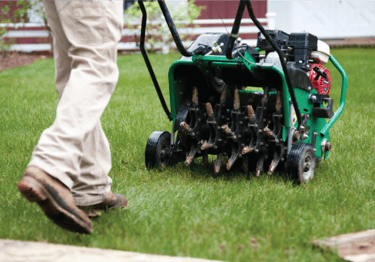 Professional lawn aeration service in Cary relieving compacted soil for healthier grass growth