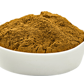A small white ceramic bowl filled with fine organic brown spice powder.