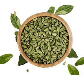 A top-down view of organic green cardamom pods in a wooden bowl with scattered green leaves on a white background.