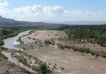 Oued Draa river valley near M’hamid, southern Morocco, showing arid landscape and oasis remnants