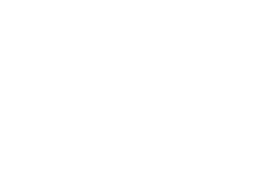 Twinmotion