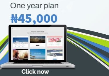 Custom Website Design Services for Business in Nigeria