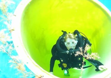 baptême recycleur en ccr pathfinder diluant air avec atxdiinving a montemare