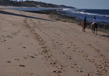Nick and Tracey Billington Horse riding at Tofo Beach, Praia do Tofo, Mozambique