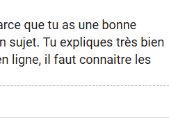 avis coaching SEO mari