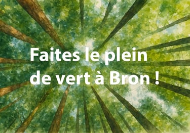 Parcs et espaces verts à Bron