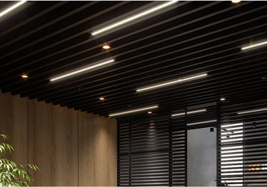 goals floors Baffle Ceiling