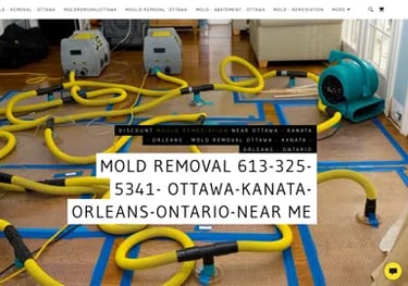 Mold Removal Near Me