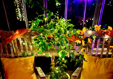 decoration dolce vita
